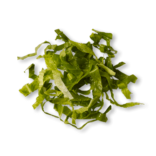 Romaine Lettuce